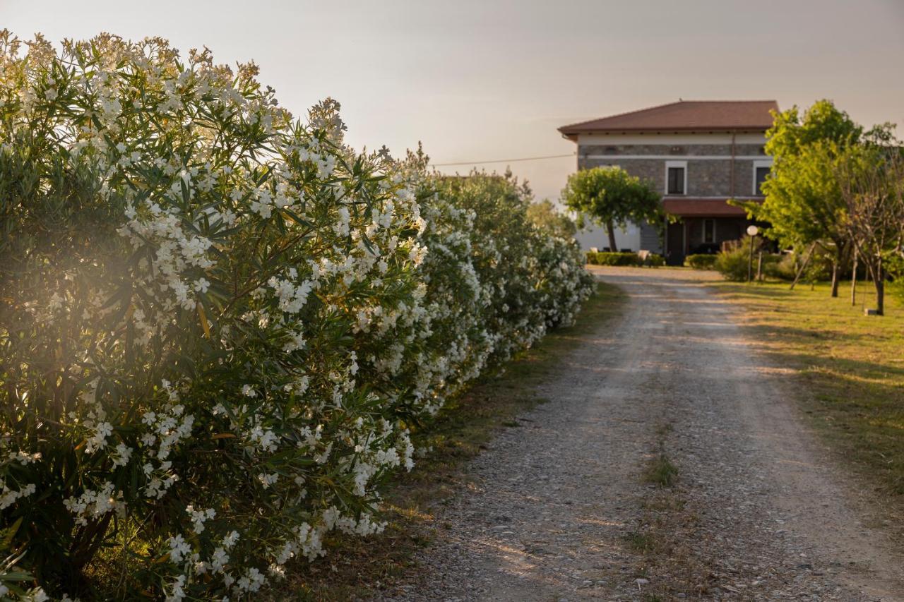 Villa Agri Charme Tenuta Picilli à Albanella Extérieur photo